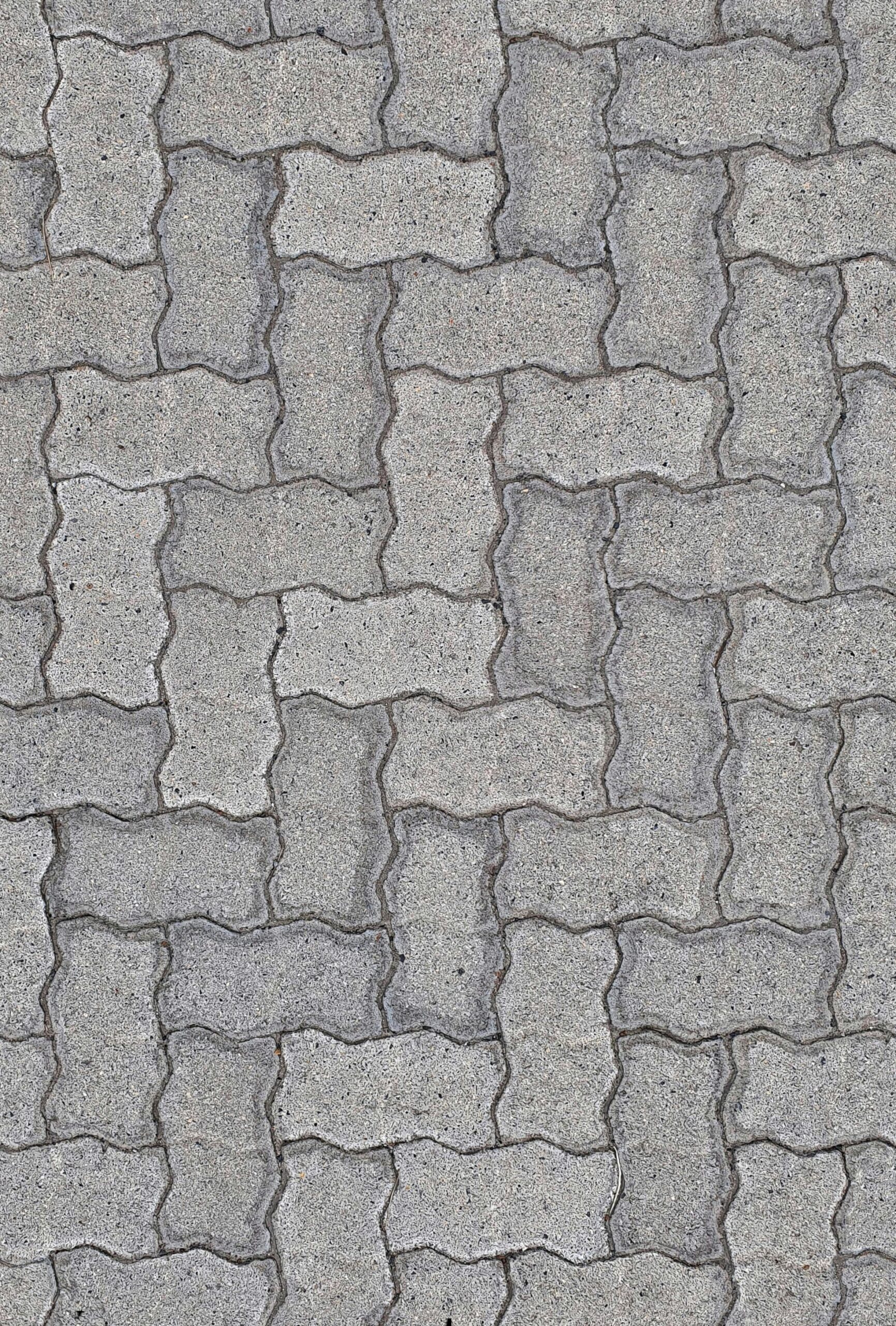 pexels-txtr-1200295-17366743 pexels-txtr-1200295-17366743